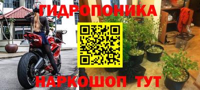 кокс Заводоуковск