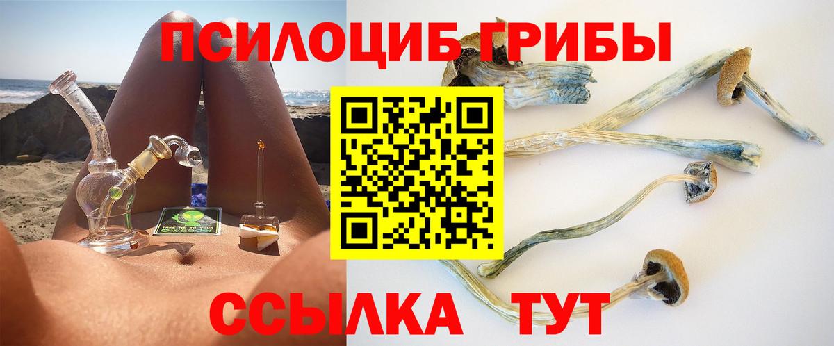 наркошоп  Псилоцибиновые грибы Psilocybine cubensis  Вход с VPN  Курчалой 
