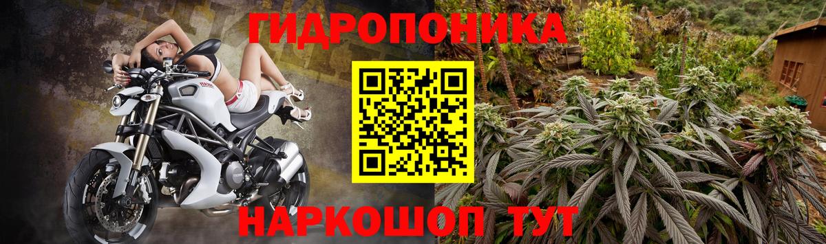 Бошки марихуана планчик Курчалой